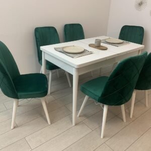 ANTIEK WIT tafelset en stoel MOOI groen