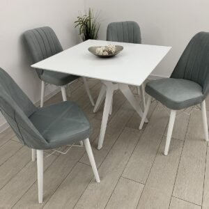 RENI TAFEL- EN STOELENSET MOOIE LICHTGRIJZE KLEUR